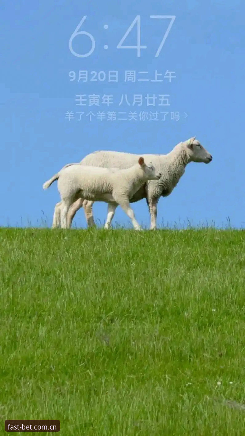一个平常的周二上午，我正用手机刷新着BET中国站的赛事推送，突然看到一条ESPN的消息——字母哥可能要在选秀前走了。我看了一眼床头的iPad，屏幕上正好停在快船队的页面。